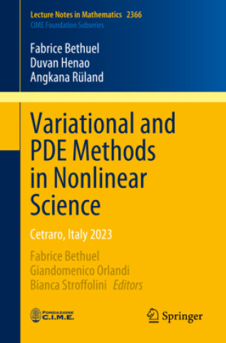 Boek Variational and PDE Methods in Nonlinear Science Fabrice Bethuel