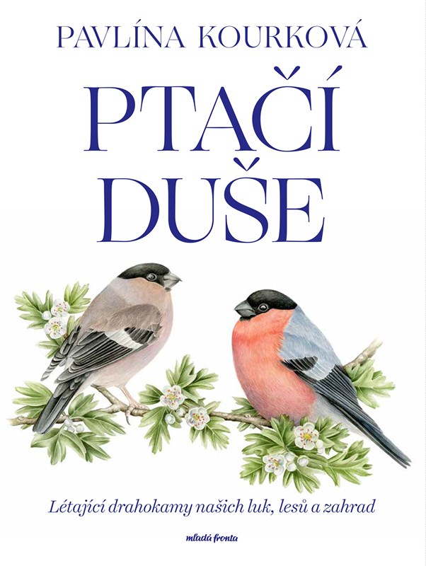 Carte Ptačí duše Pavlína Kourková