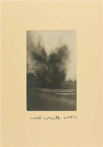 Kniha Will Write Soon /anglais LEBART LUCE/ THOMSON