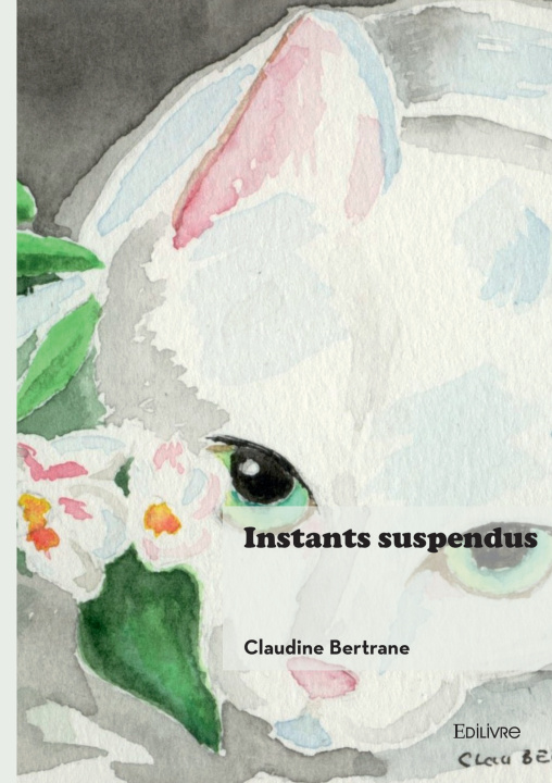 Kniha Instants suspendus Claudine Bertrane