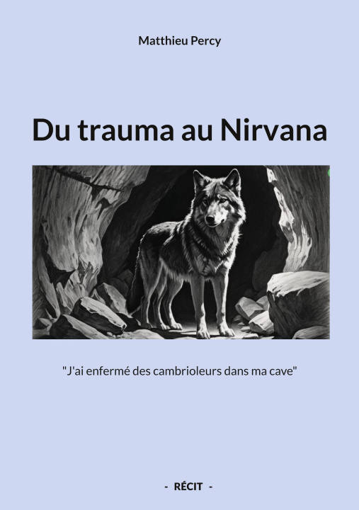 Kniha DU TRAUMA AU NIRVANA PERCY MATTHIEU