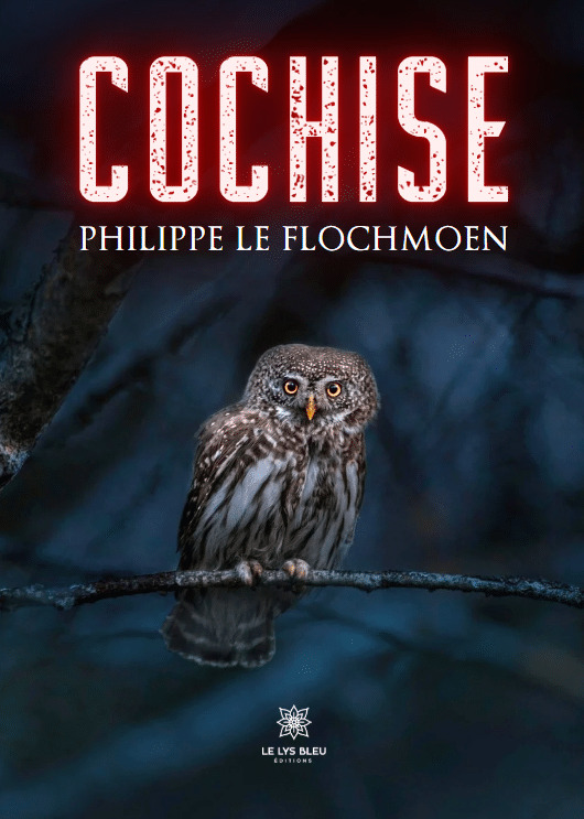 Kniha Cochise le Flochmoen