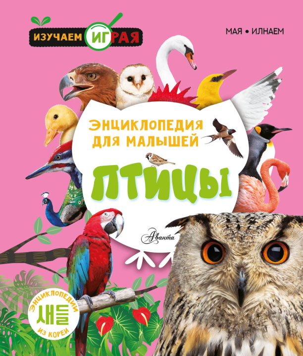 Kniha Птицы 