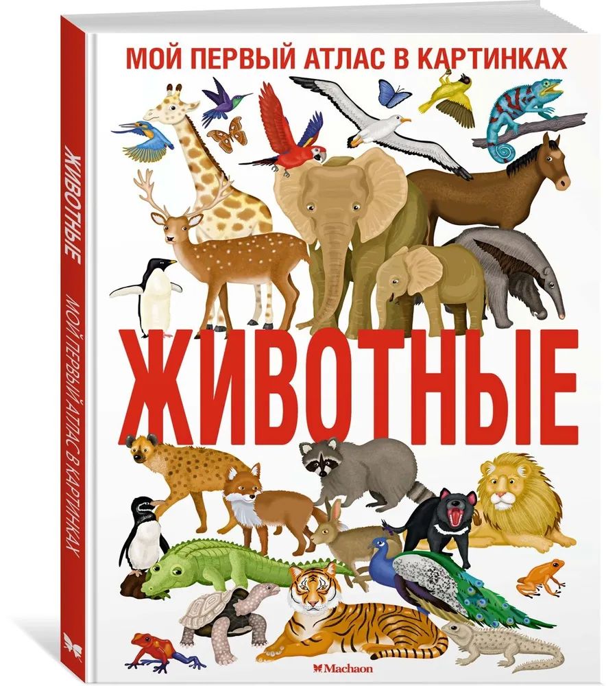 Libro Животные. Мой первый атлас в картинках Ilariya Barsotti