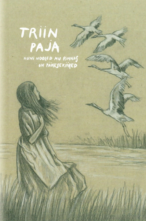 Libro Kuni nooled mu rinnas on päikesekiired 