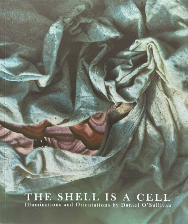Kniha The Shell is A Cell 