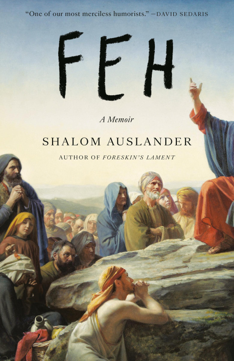 Kniha FEH AUSLANDER SHALOM
