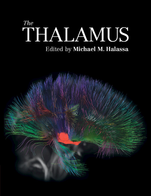 Kniha The Thalamus Michael M. Halassa