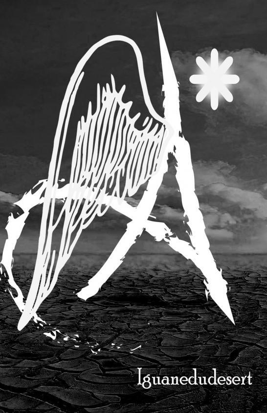 Книга A* Iguanedudesert