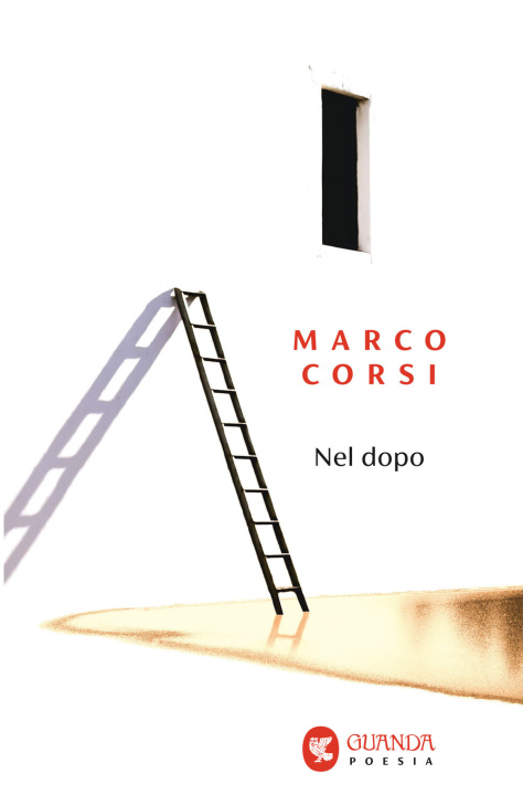 Kniha Nel dopo Marco Corsi