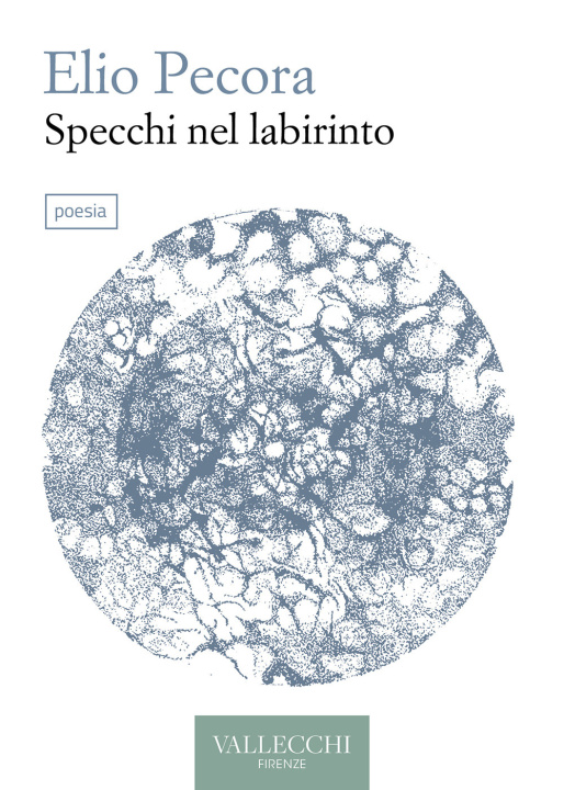 Kniha Specchi nel labirinto Elio Pecora