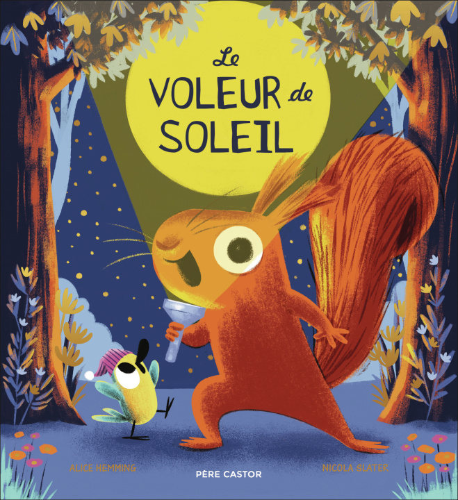 Kniha Le Voleur de Soleil Hemming