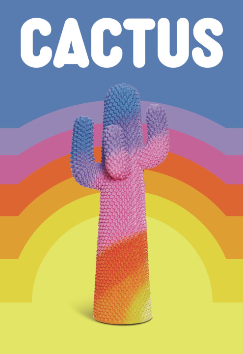 Kniha Cactus 