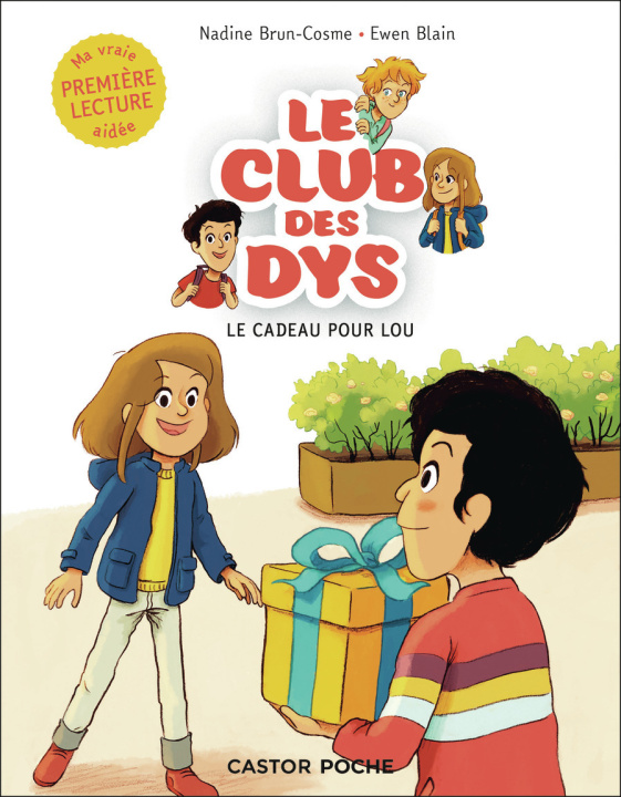 Kniha Le cadeau pour Lou Brun-Cosme
