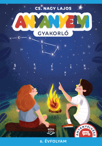 Kniha Anyanyelvi gyakorló - 6. évfolyam CS. Nagy Lajos