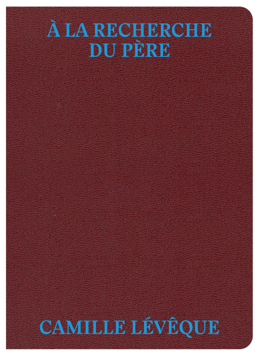 Book A LA RECHERCHE DU PERE Leveque camille