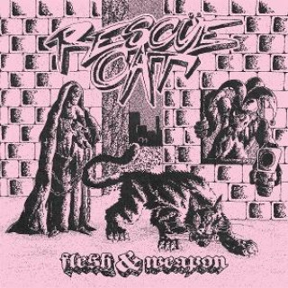 Audio Flesh & Weapon 