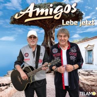 Audio Lebe jetzt 
