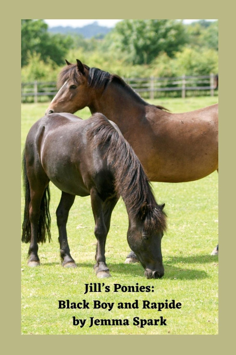 Knjiga Jill's Ponies Jemma Spark