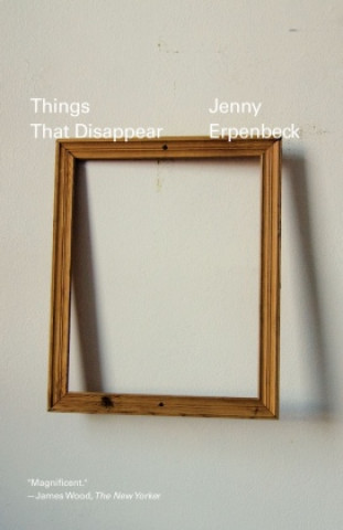 Kniha Things That Disappear Jenny Erpenbeck