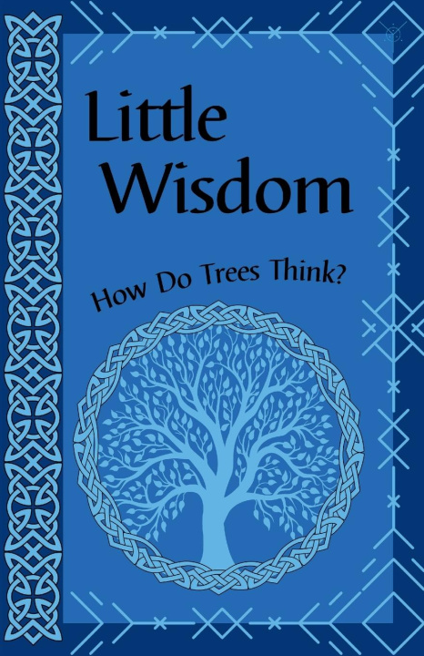 Книга Little Wisdom Devin Kornelsen-Loytomaki