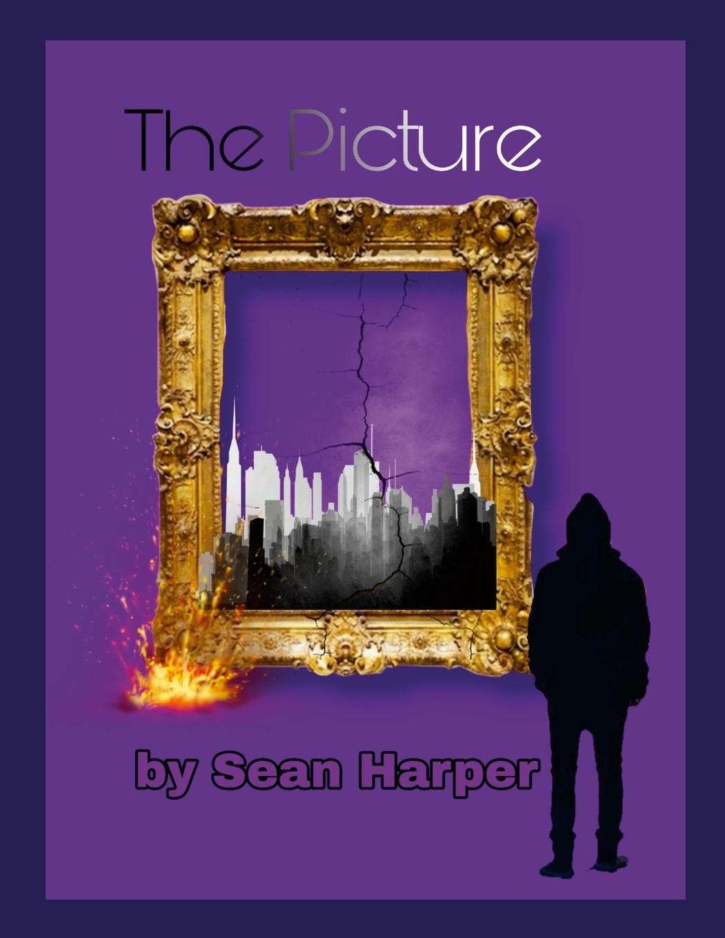 Kniha The Picture Sean Harper