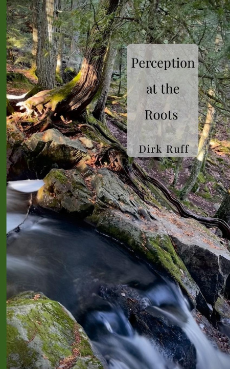 Книга Perception at the Roots Dirk Ruff