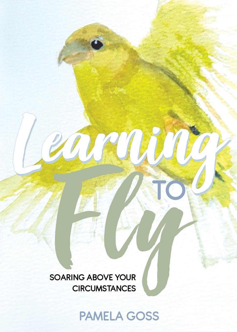 Kniha Learning to Fly Pamela Goss