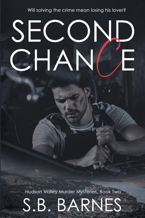 Kniha Second Chance S. B. Barnes