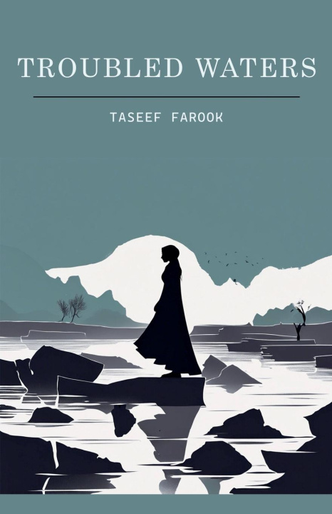 Kniha Troubled Waters Taseef Farook