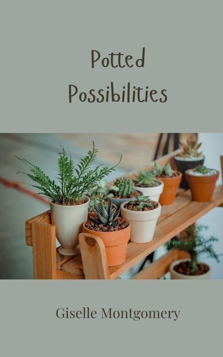 Kniha Potted Possibilities Giselle Montgomery