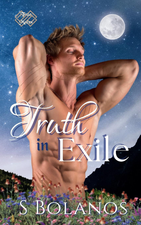 Kniha Truth in Exile S Bolanos
