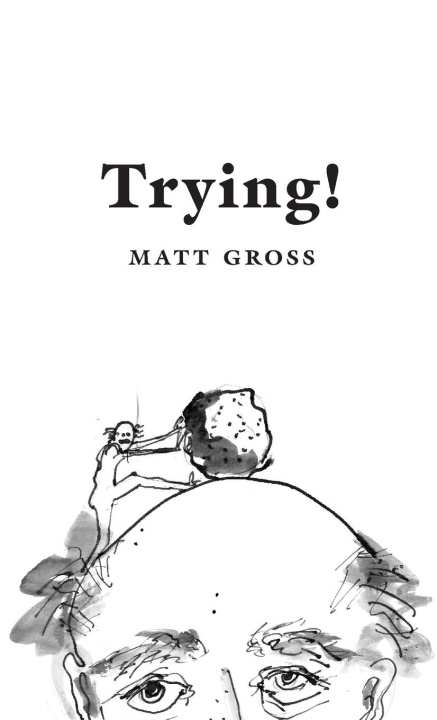 Knjiga Trying! Matt Gross