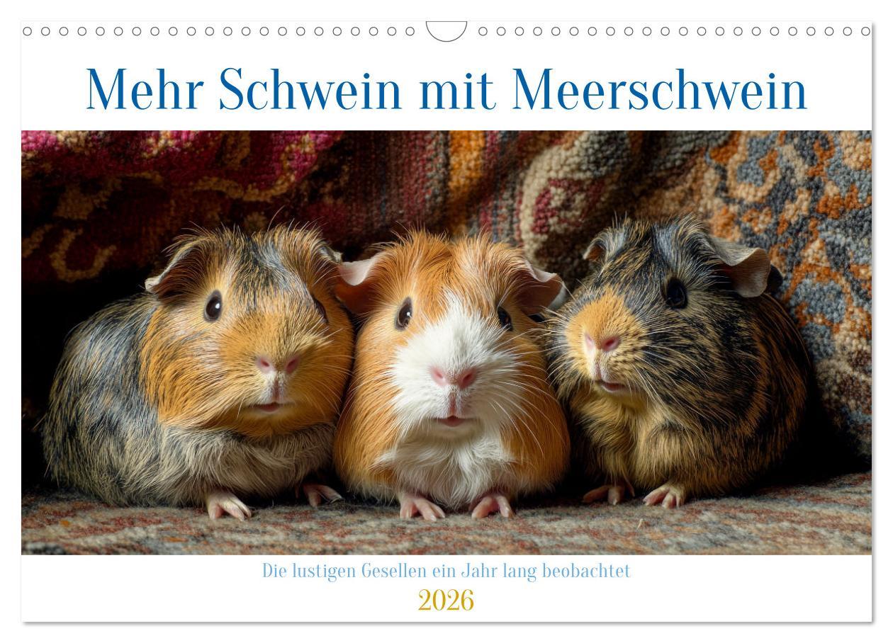 Kalendár/Diár Mehr Schwein mit Meerschwein (Wandkalender 2026 DIN A3 quer), CALVENDO Monatskalender Calvendo