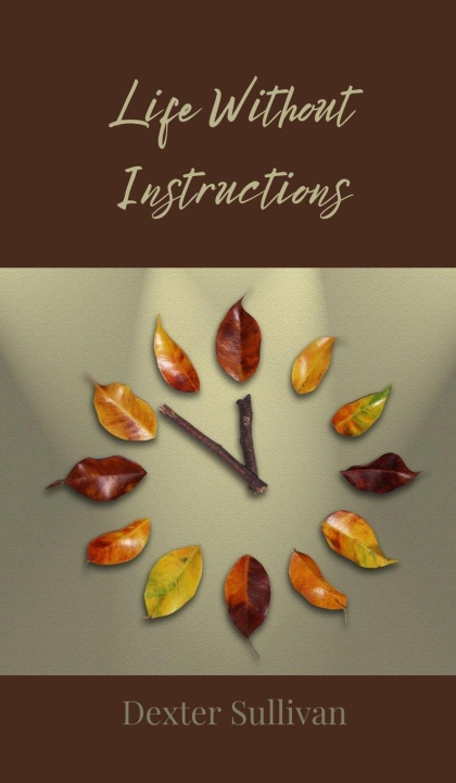 Kniha Life Without Instructions Dexter Sullivan