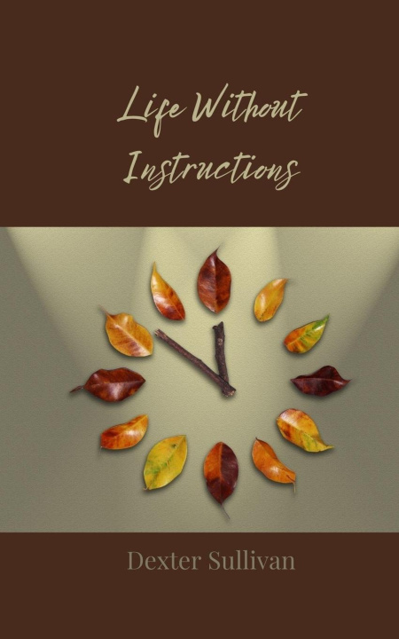 Knjiga Life Without Instructions Dexter Sullivan