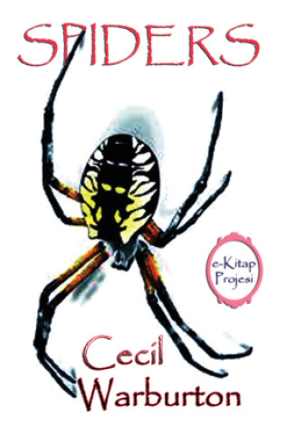 Kniha Spiders Cecil Warburton