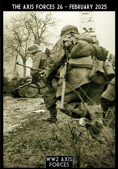 Knjiga The Axis Forces 26 Massimiliano Afiero