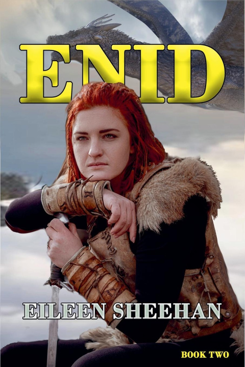 Knjiga ENID (Book 2) Eileen Sheehan