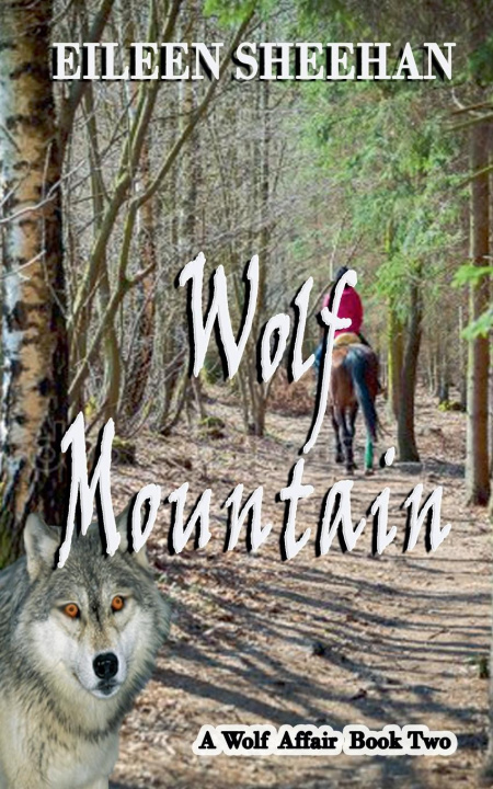 Kniha Wolf Mountain Eileen Sheehan