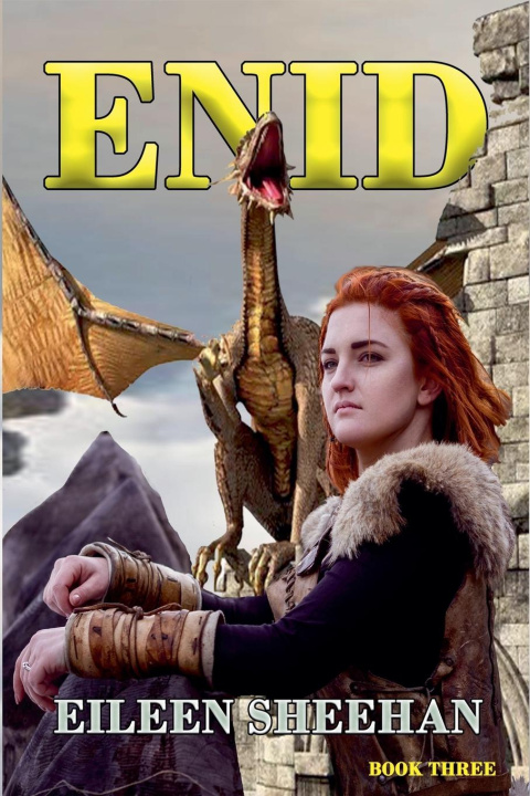 Kniha ENID (Book 3) Eileen Sheehan