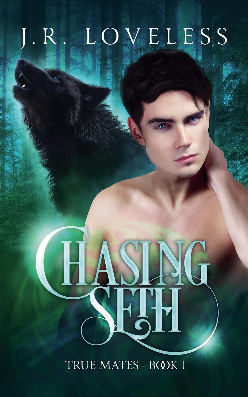 Knjiga Chasing Seth J.R. Loveless