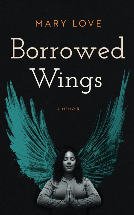 Kniha Borrowed Wings Marie Valentine