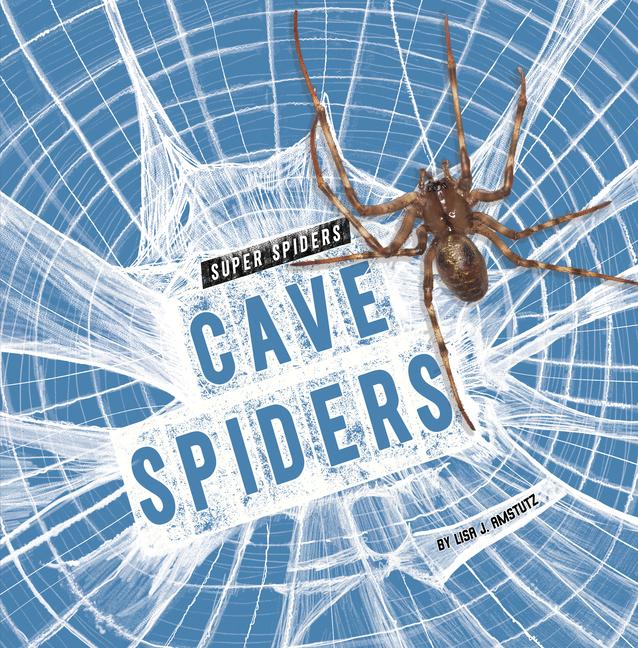 Kniha Cave Spiders Amstutz