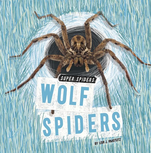 Knjiga Wolf Spiders Amstutz