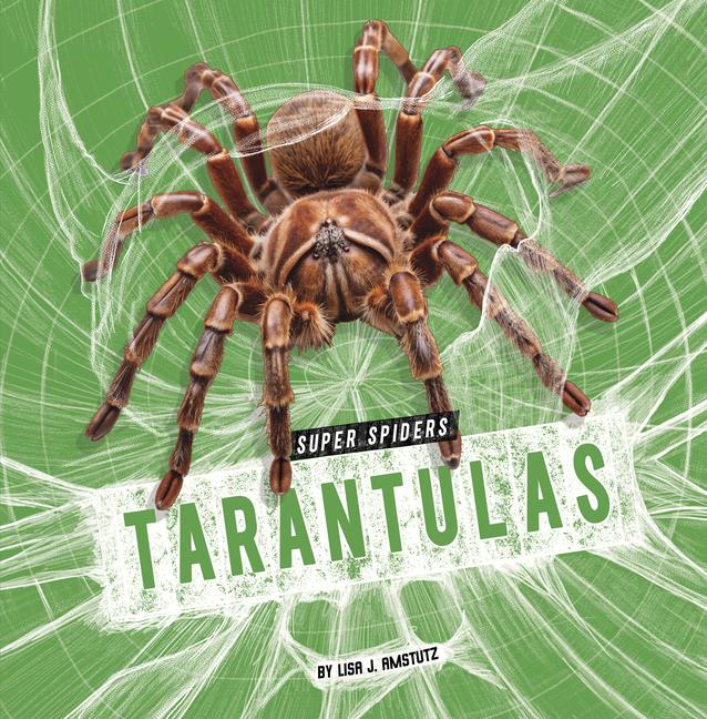 Kniha Tarantulas Amstutz