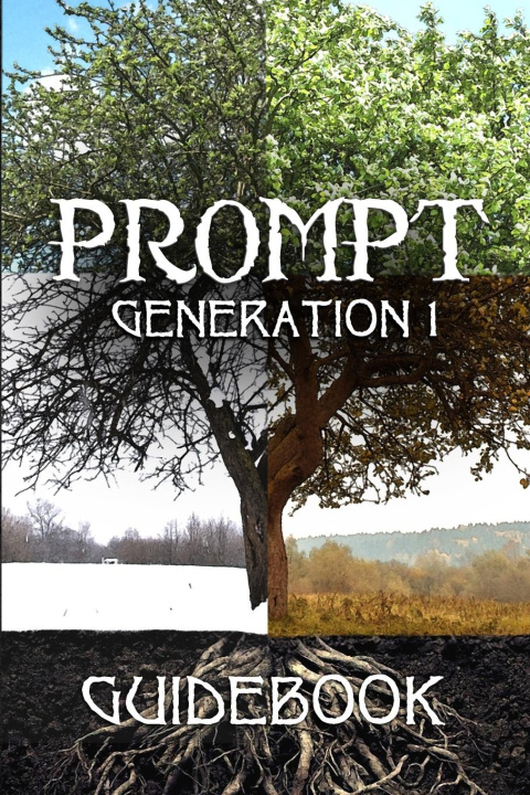 Boek Prompt Generation 1 Guidebook Lauren Patzer