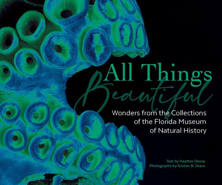 Knjiga All Things Beautiful Florida Museum of Natural History