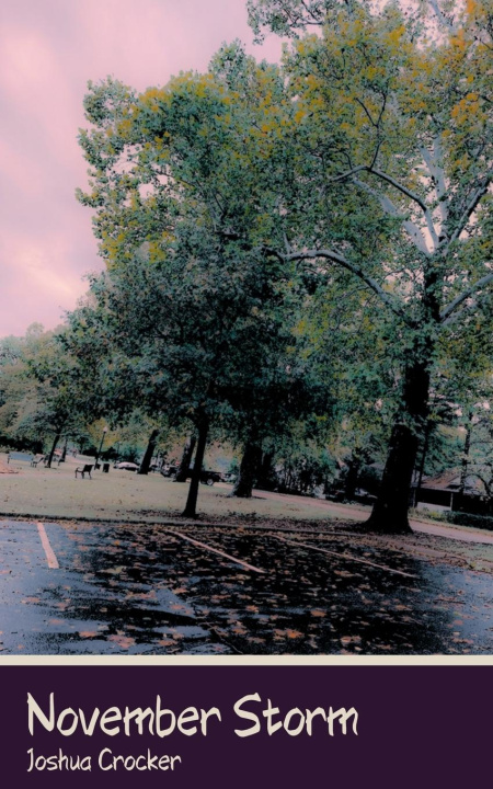 Kniha November Storm Joshua Crocker
