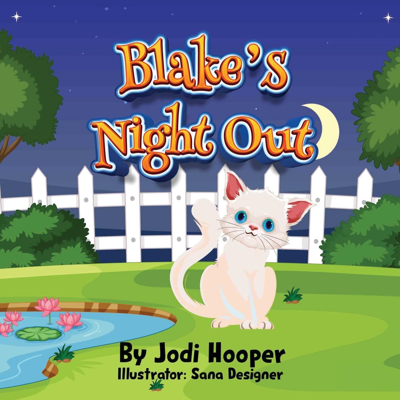 Kniha Blake's Night Out Jodi Hooper